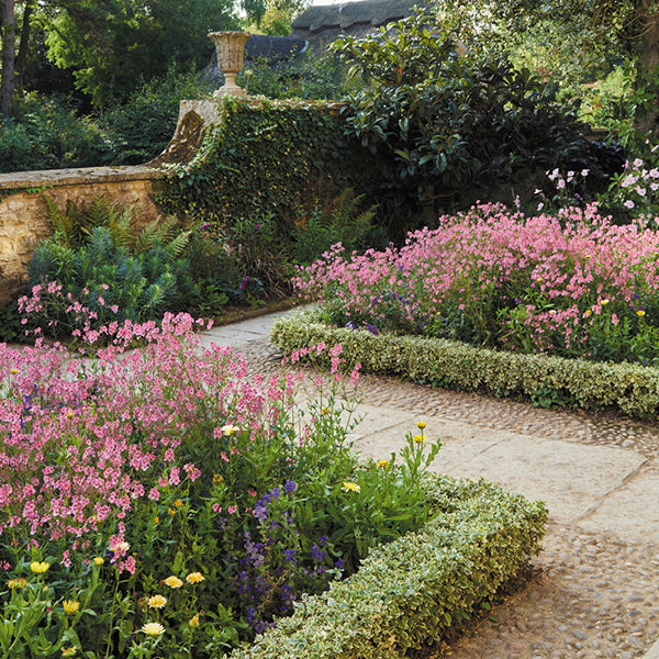 Scenic picture of England’s Charming Cotswolds Gardens