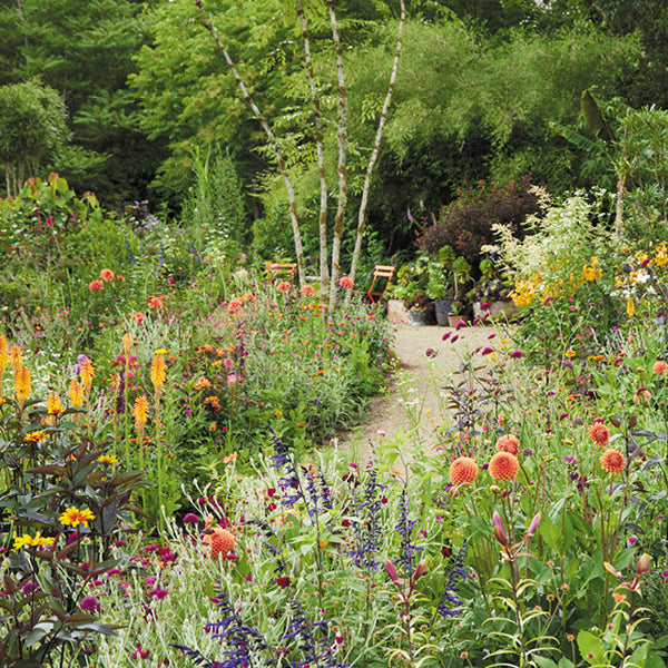 Scenic picture of Ireland in Bloom