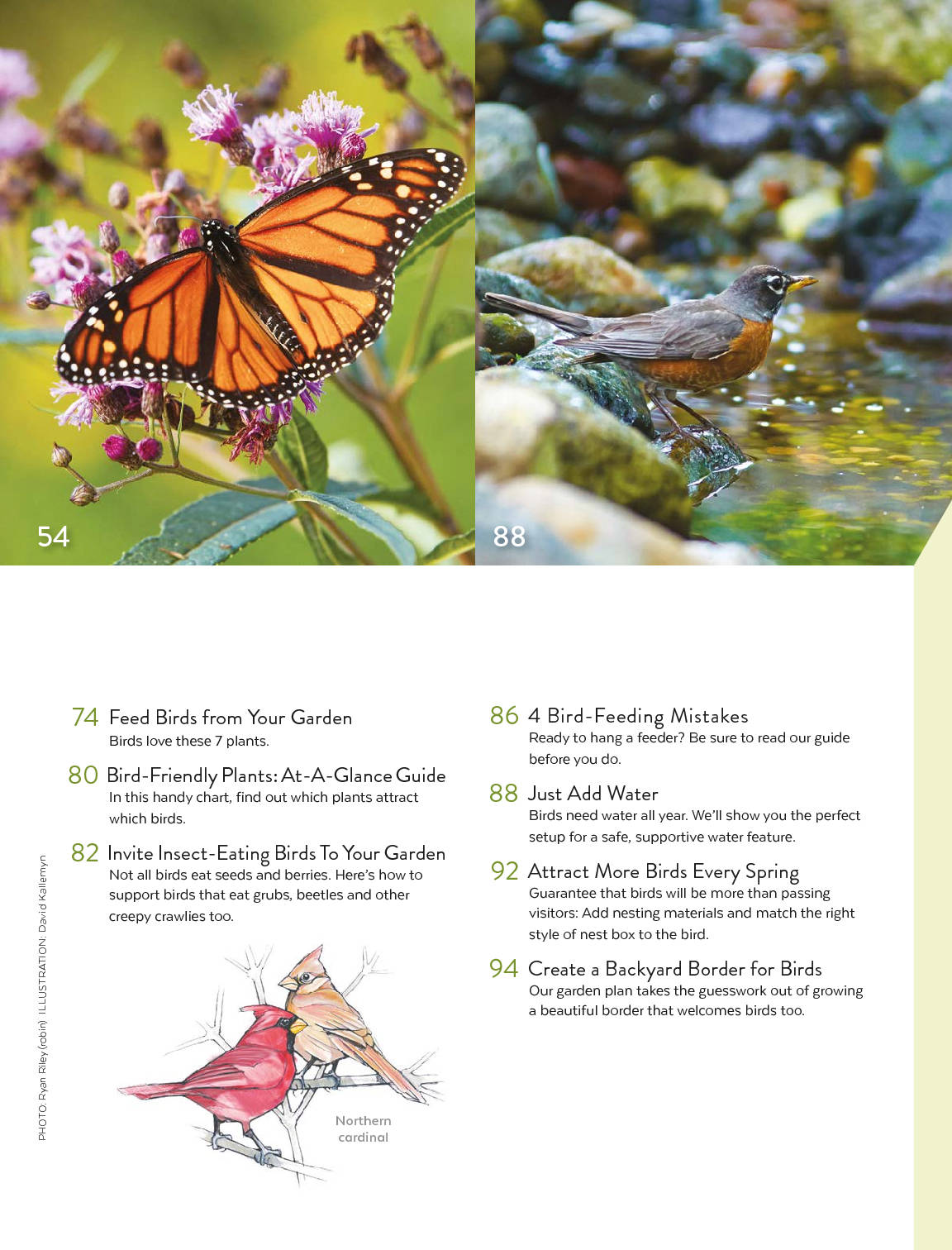 Ultimate Blooms, Butterflies & Birds Book, Volume 2