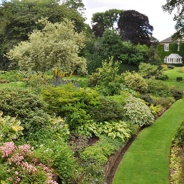 Scenic picture of England's East Anglia: Norfolk & Cambridgeshire