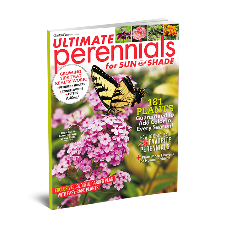 Ultimate Perennials for Sun & Shade, Volume 2