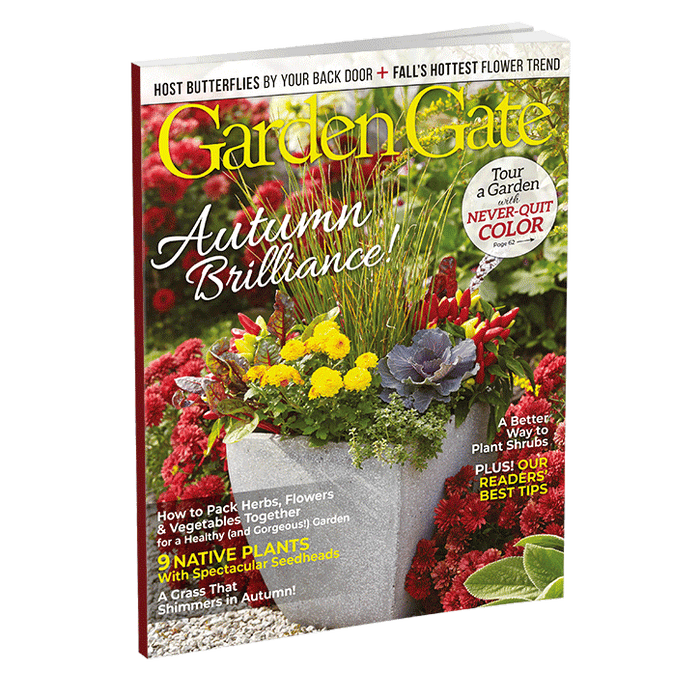 Garden Gate Magazine Single Issues