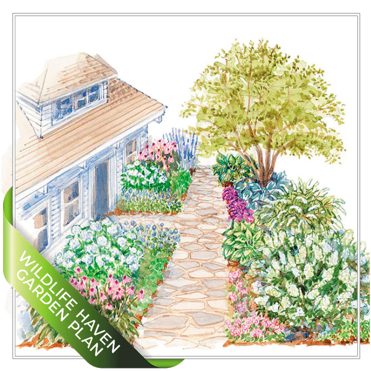 Bird-Friendly Garden Plan SuperBundle