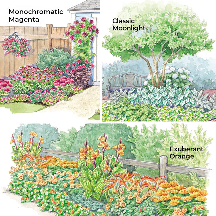 Colorful, Easy-Care Backyard Border Garden Plan