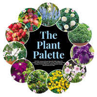 Sunny Side Yard Garden Plan with Edible Landscaping
