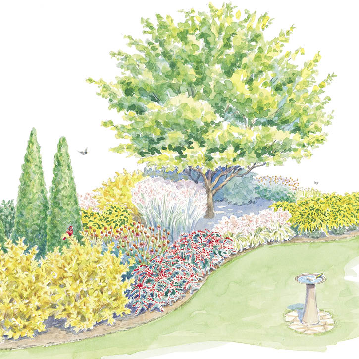 Feed Birds From Your Garden | Multiseason Garden Plan