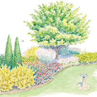 Feed Birds From Your Garden | Multiseason Garden Plan