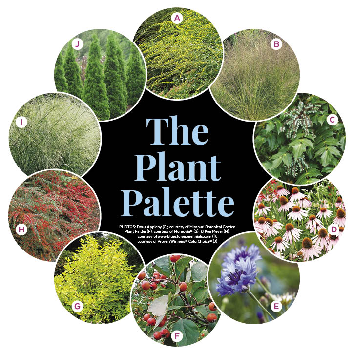 Feed Birds From Your Garden | Multiseason Garden Plan