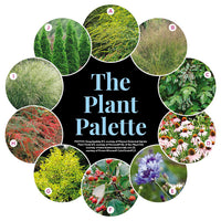 Feed Birds From Your Garden | Multiseason Garden Plan