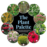 Clay Soil Garden Plan for Your Front Entry