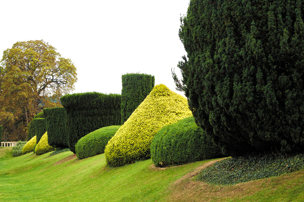 Sudeley Castle