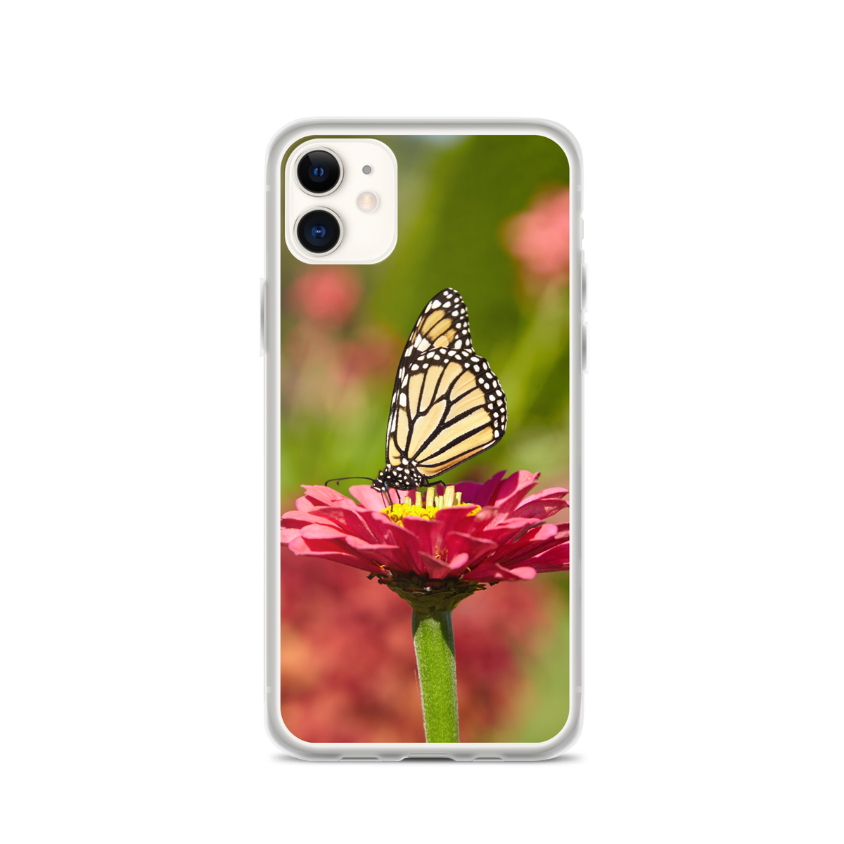 Monarch on Pink Zinnia Case for iPhone