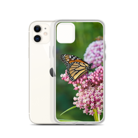 Monarch on Milkweed Phone Case for iPhone