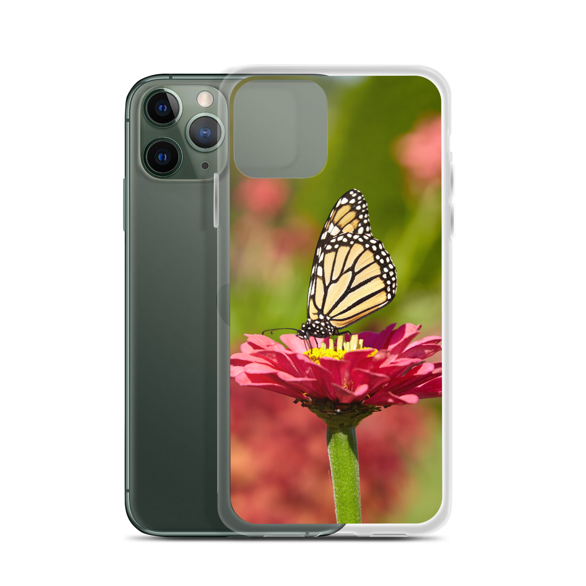 Monarch on Pink Zinnia Case for iPhone