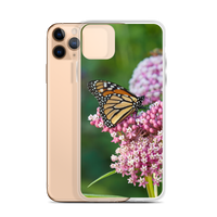 Monarch on Milkweed Phone Case for iPhone
