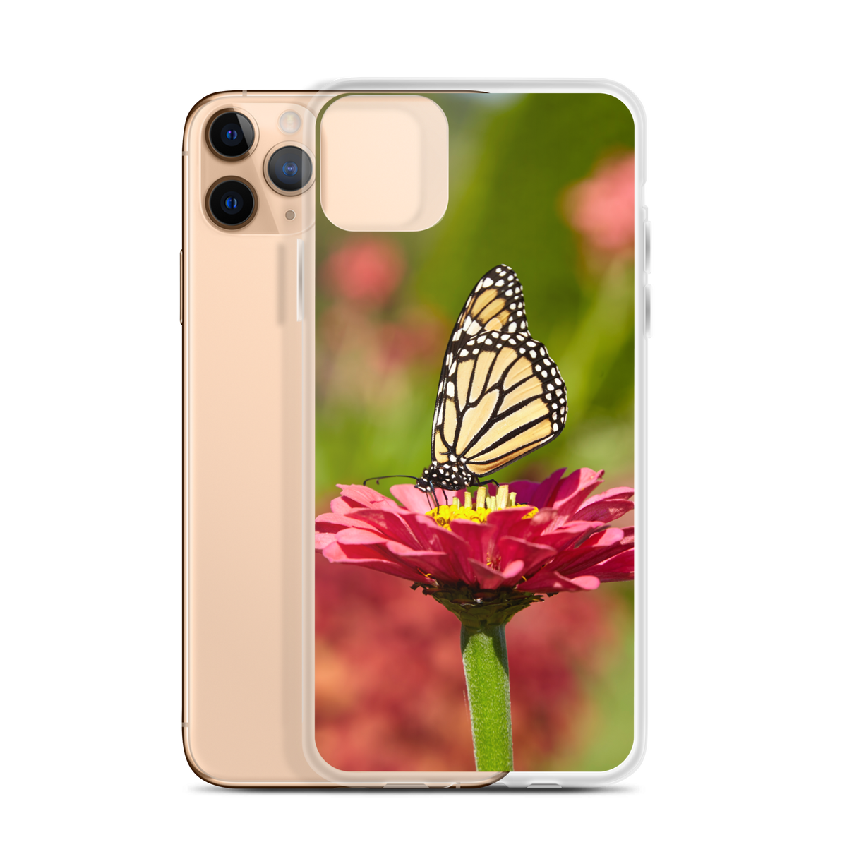 Monarch on Pink Zinnia Case for iPhone