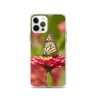 Monarch on Pink Zinnia Case for iPhone