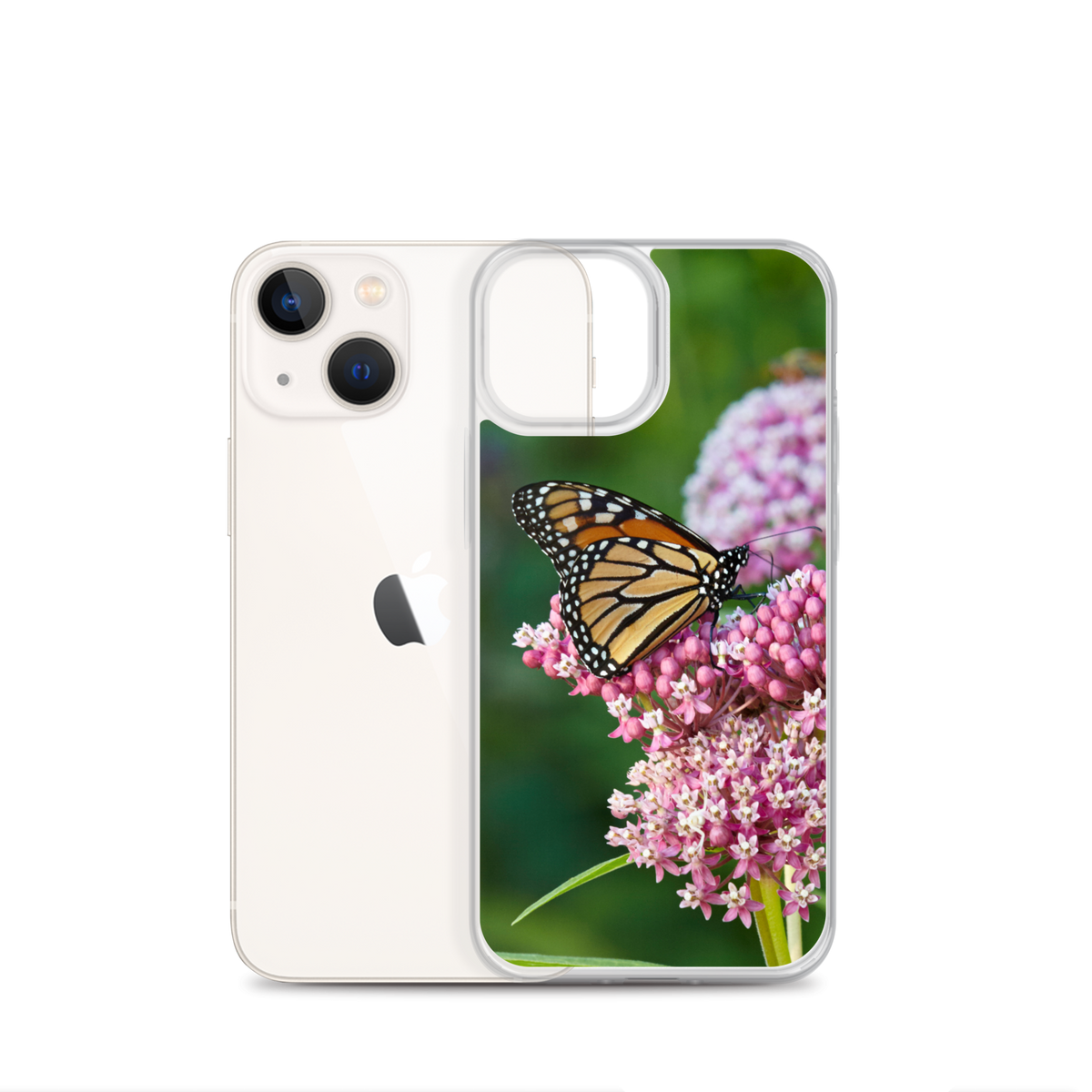 Monarch on Milkweed Phone Case for iPhone