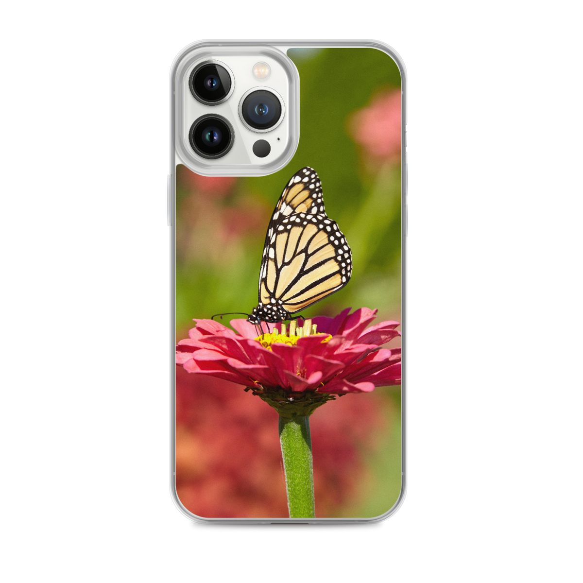 Monarch on Pink Zinnia Case for iPhone