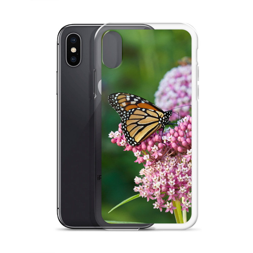 Monarch on Milkweed Phone Case for iPhone