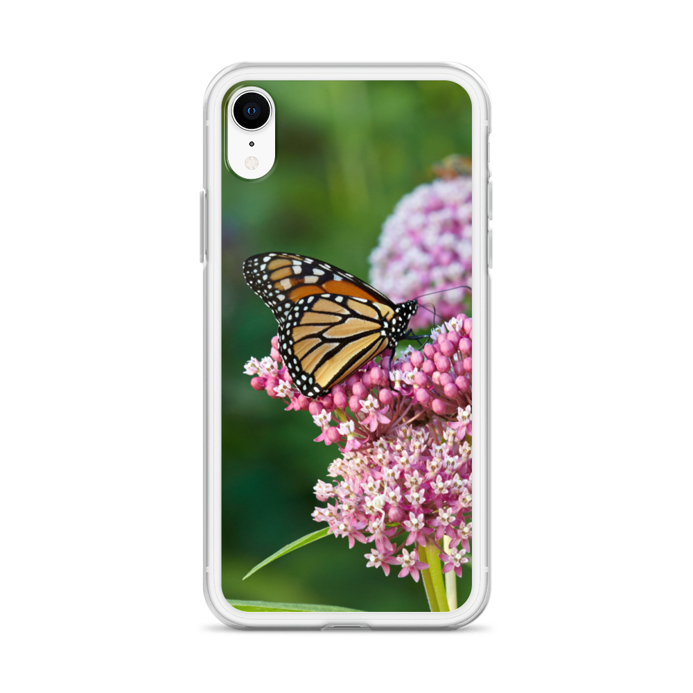 Monarch on Milkweed Phone Case for iPhone