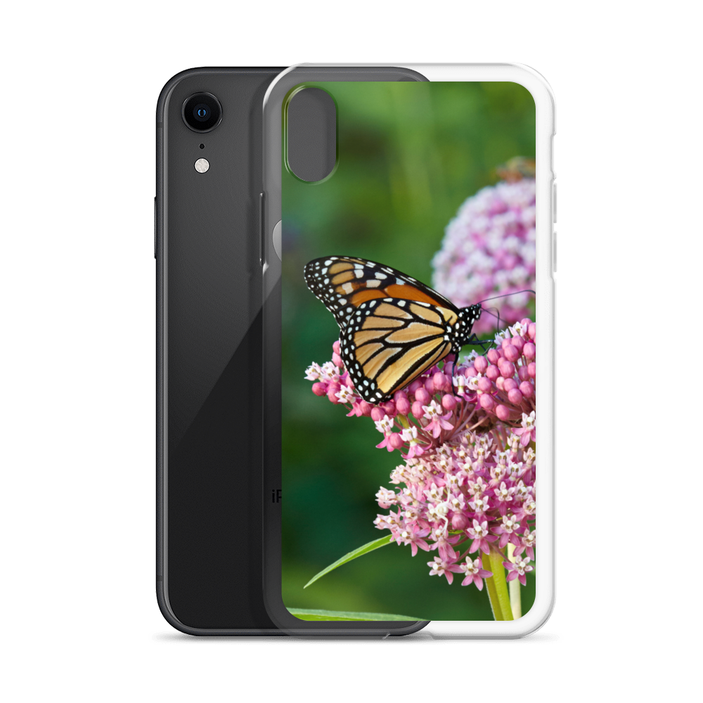 Monarch on Milkweed Phone Case for iPhone