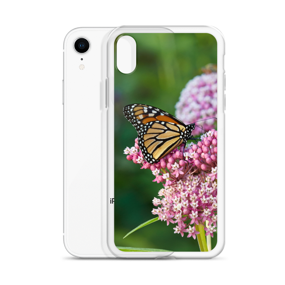 Monarch on Milkweed Phone Case for iPhone