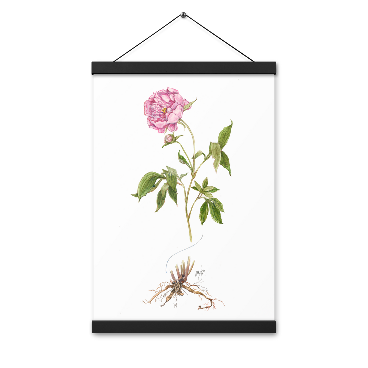 Peony Botanical Poster with Magnetic Wooden Hangers 12x18 in
