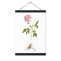 Peony Botanical Poster with Magnetic Wooden Hangers 12x18 in