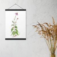 Coneflower Botanical Print with Magnetic Wooden Hangers 12x18 in