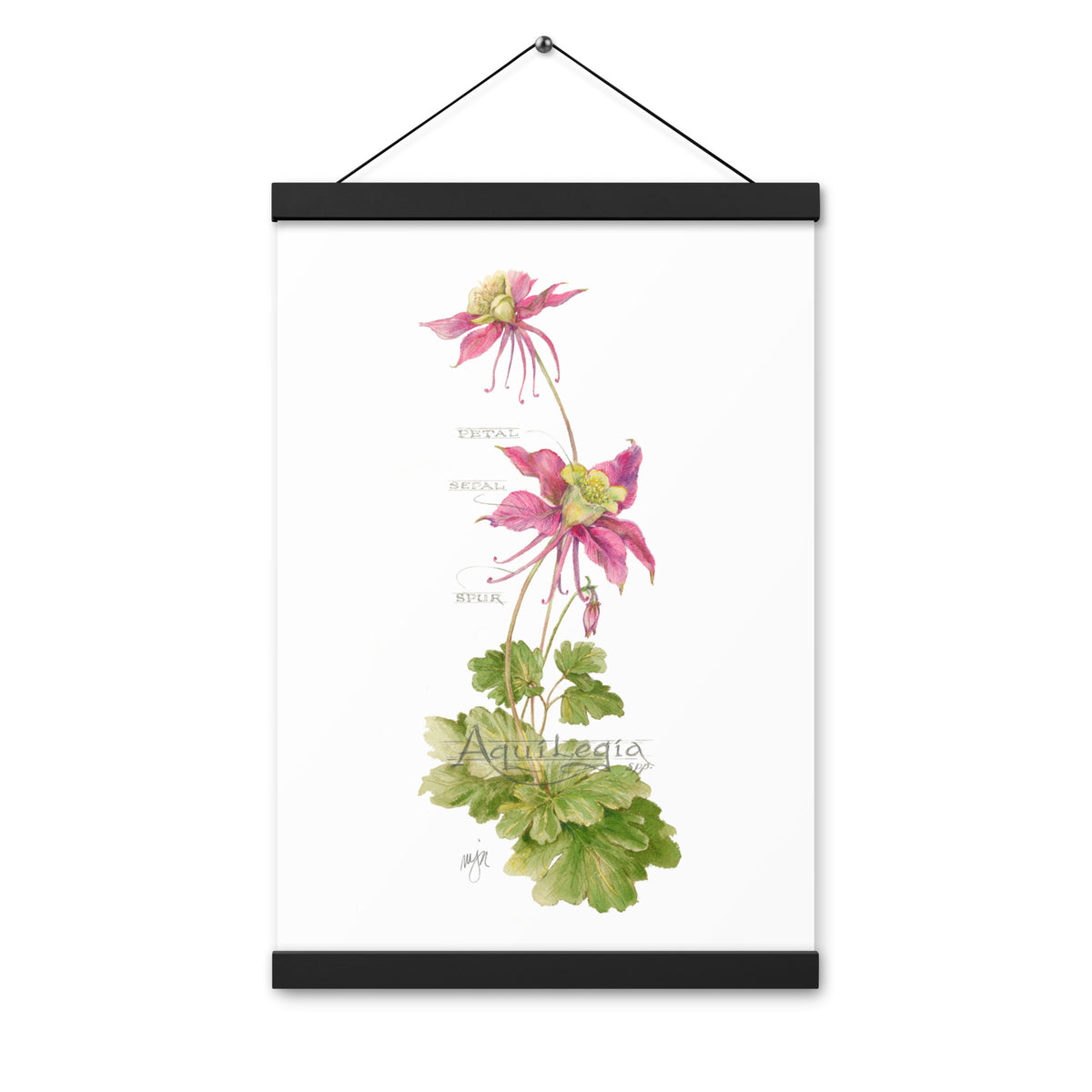 Columbine Botanical Print with Magnetic Wooden Hangers 12x18 in