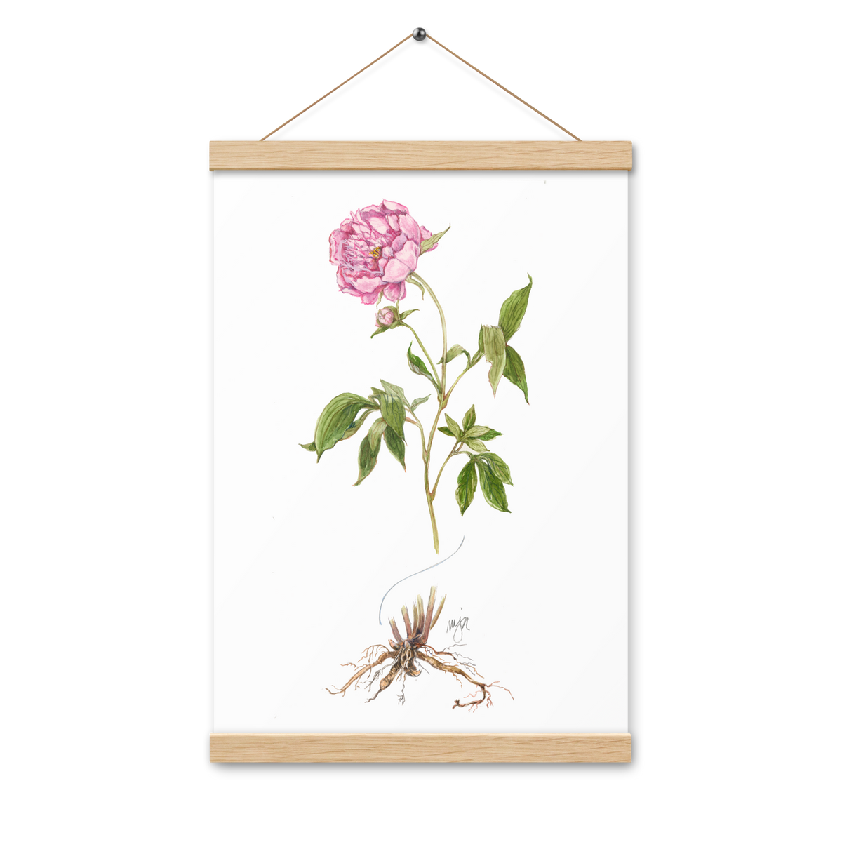 Peony Botanical Poster with Magnetic Wooden Hangers 12x18 in