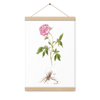 Peony Botanical Poster with Magnetic Wooden Hangers 12x18 in