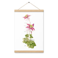 Columbine Botanical Print with Magnetic Wooden Hangers 12x18 in