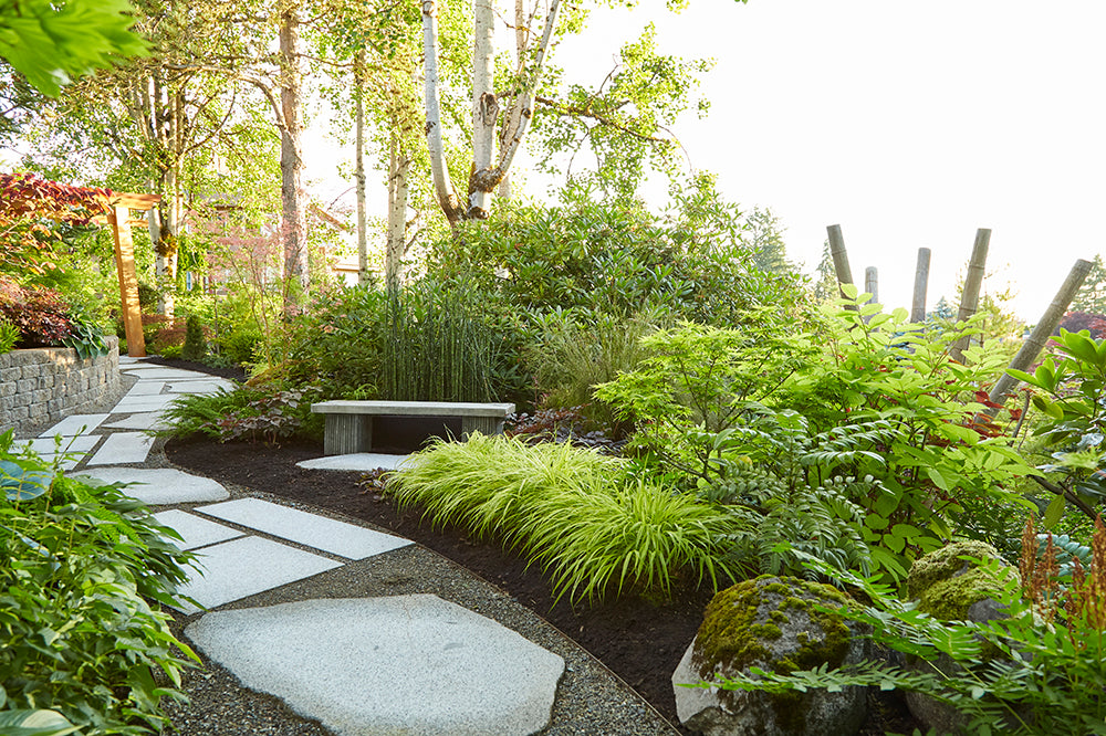 The Garden of Camille Paulsen