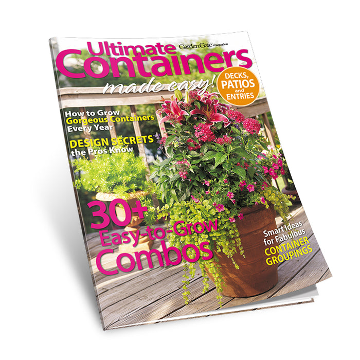 Ultimate Containers Made Easy: Decks, Patios and Entries