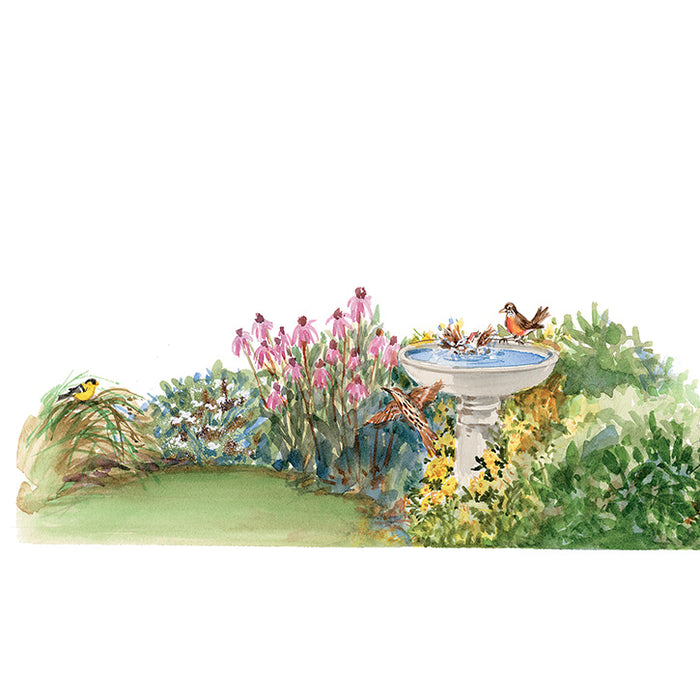 Bird-Friendly Garden Article