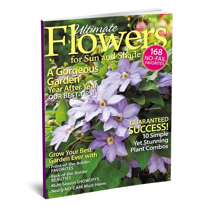 Ultimate Flowers for Sun and Shade