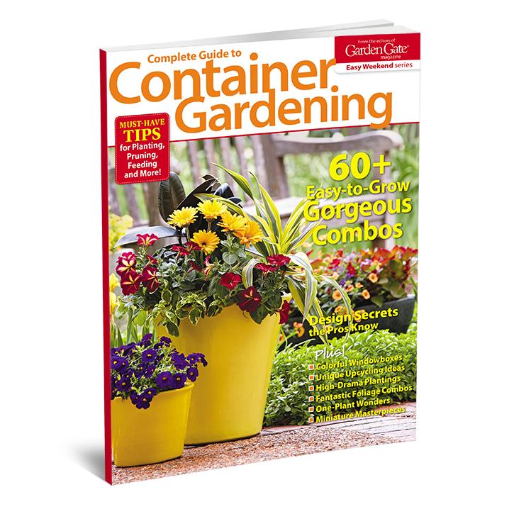 Complete Guide to Container Gardening