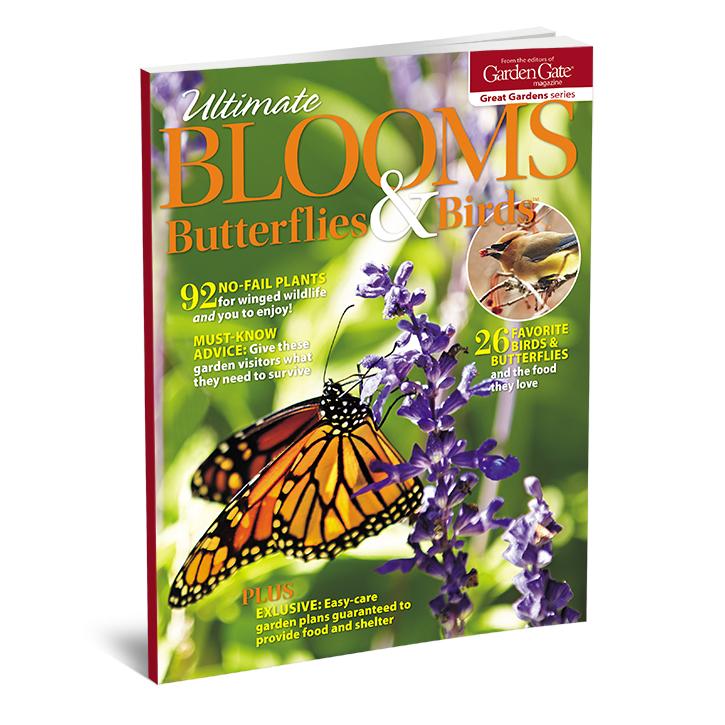 Ultimate Blooms, Butterflies & Birds