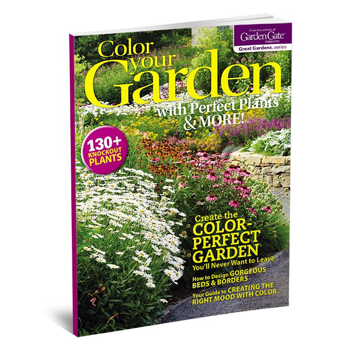 Color Your Garden