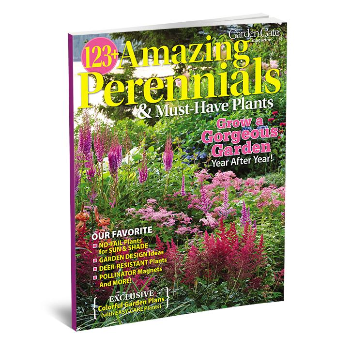 123+ Amazing Perennials & Must-Have Plants