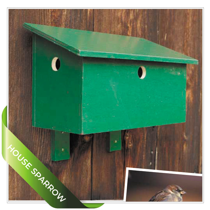 Birdhouse Projects SuperBundle