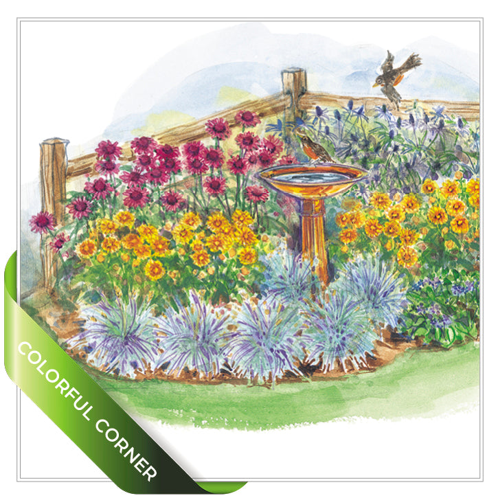 Small Garden Plans SuperBundle