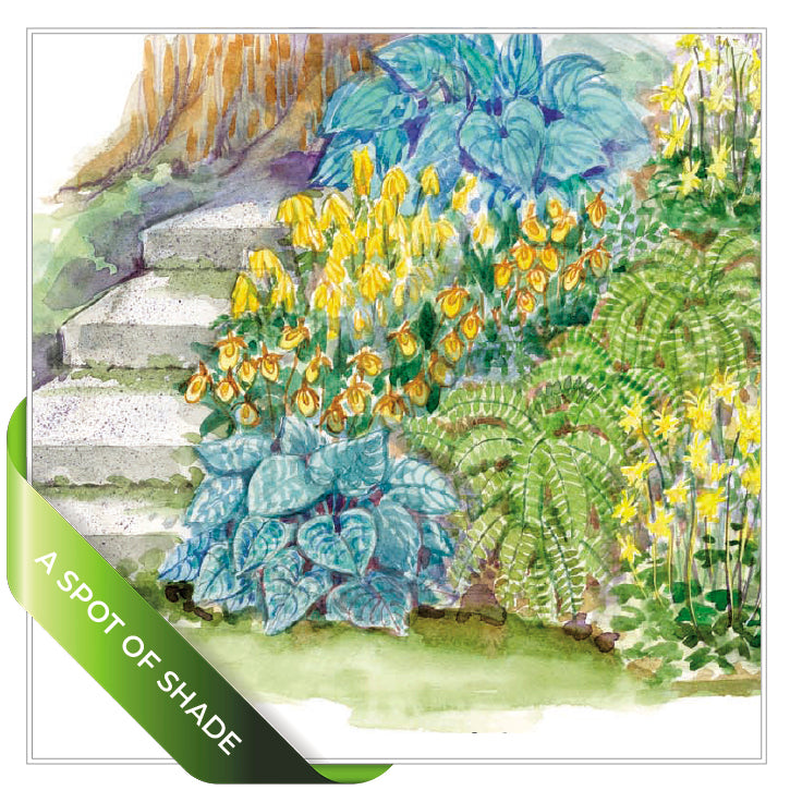Small Garden Plans SuperBundle