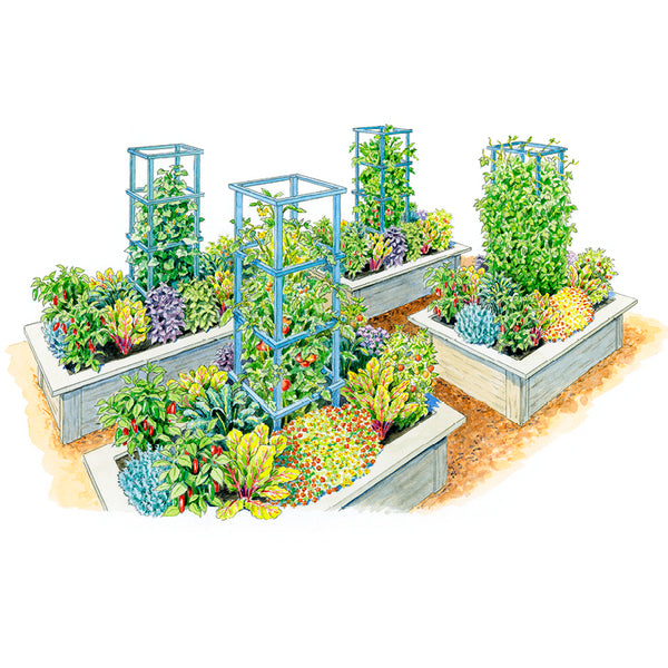 Harvest Vol 2: Small Flowers Harvest Vol 2: Small Flowers