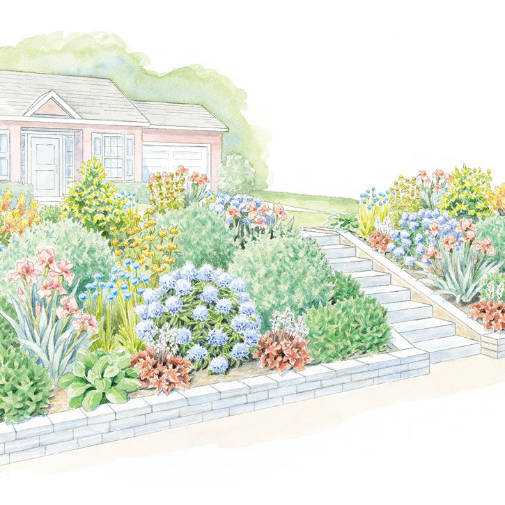 Surround Your Sidewalk with Color Garden Plan