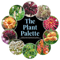 Colorful Cut Flower Border