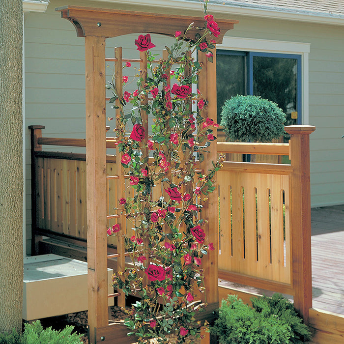Wooden Garden Trellis with Climbing Rose