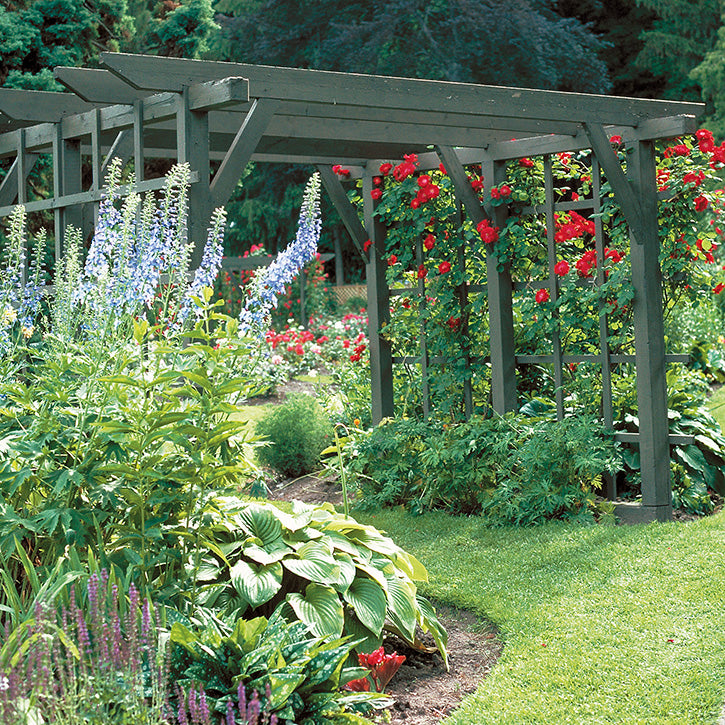 Pergolas Garden Article